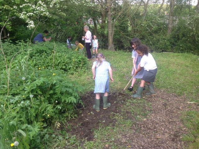 Codford Nature Reserve